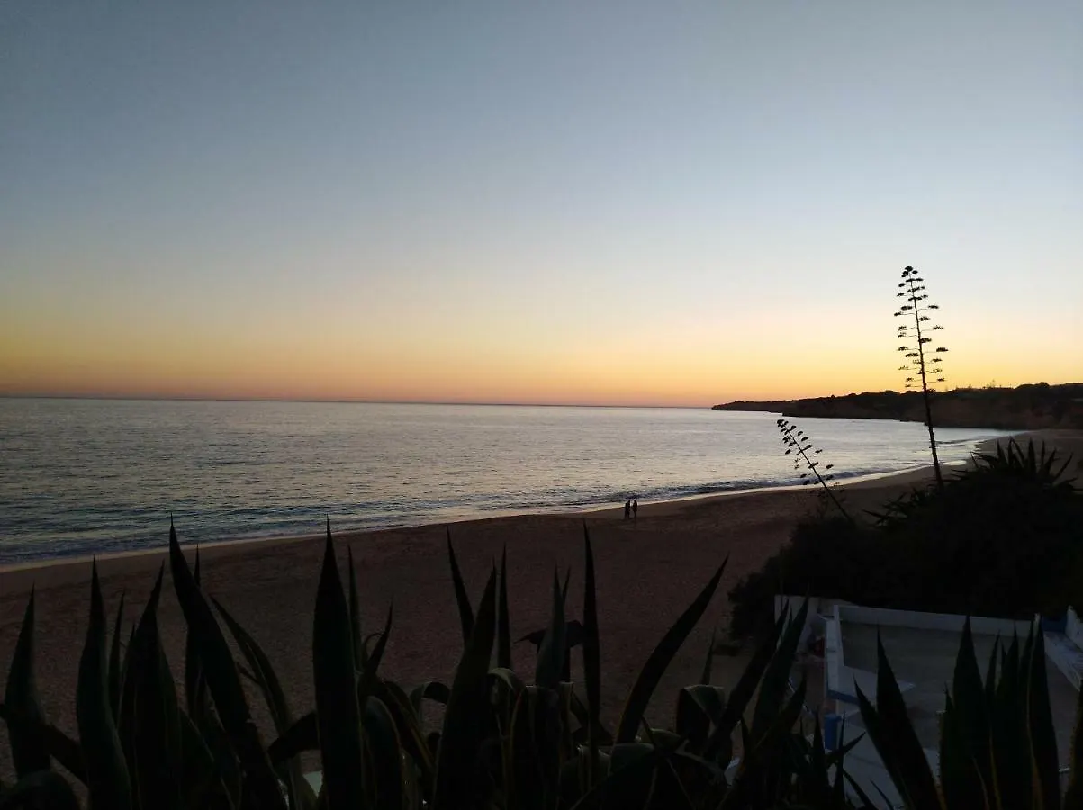 Ocean Terrace Apartment Armação de Pêra